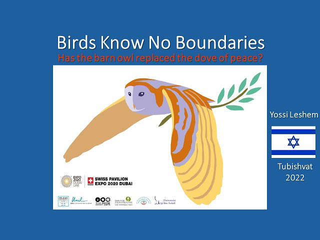 Birds Know No Boundaries