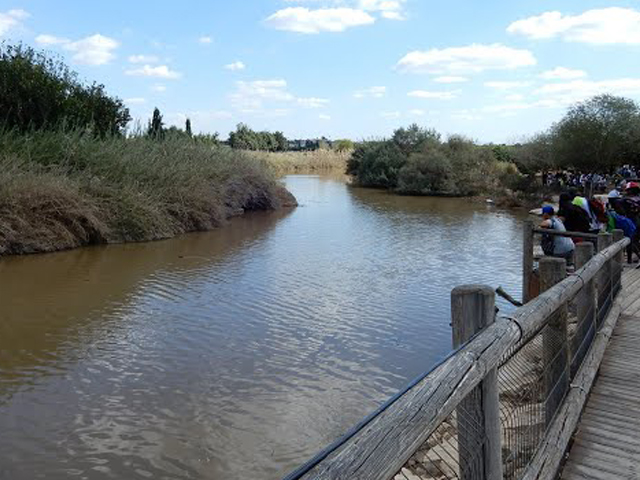 The Reality of Israel’s Rivers: Rehabilitating Mediterranean Climate Streams