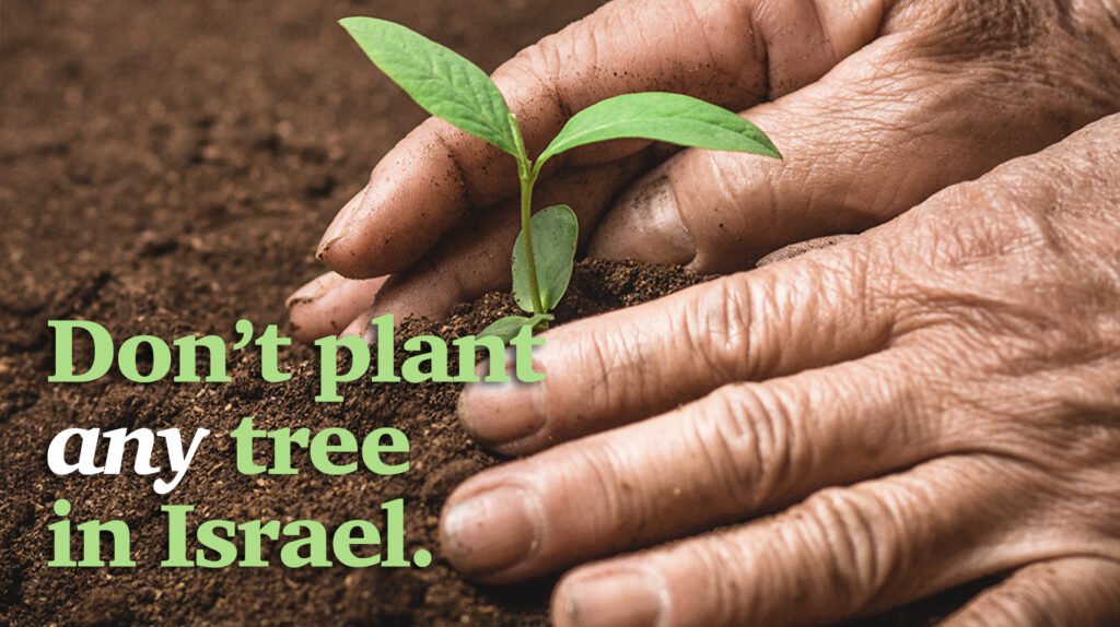 SPNI presents a Different Take on Israel's Afforestation Policies with Alon Rothschild, SPNI’s Director of Biodiversity Policy.