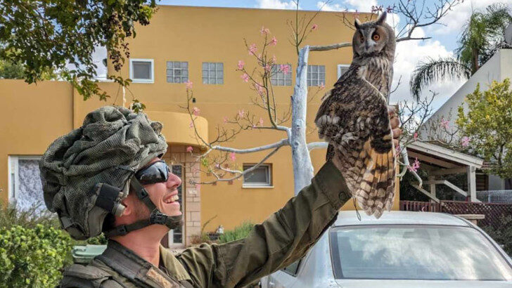 Join Lawrence Kasmir for a live webinar where he will share insights, stories, and anecdotes about Israel's environment and wildlife during the war.