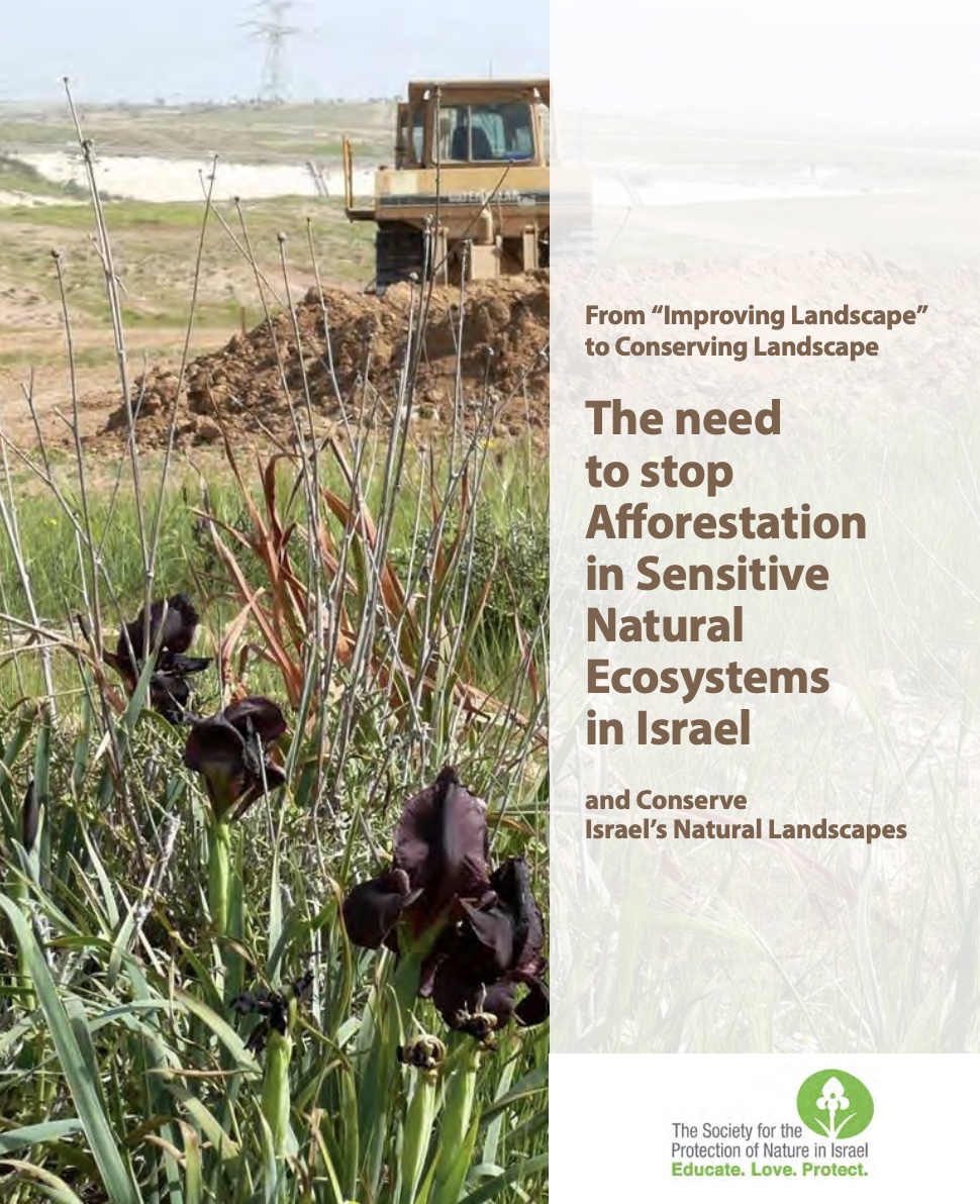 From “Improving Landscape” to Conserving Landscape. The Need to Stop Afforestation in Sensitive Natural Ecosystems in Israel and Conserve Israel’s Natural Landscapes