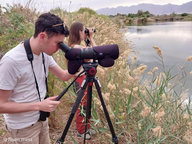 Join our local birding experts from Birdlife Israel as they follow the migration LIVE from the field.