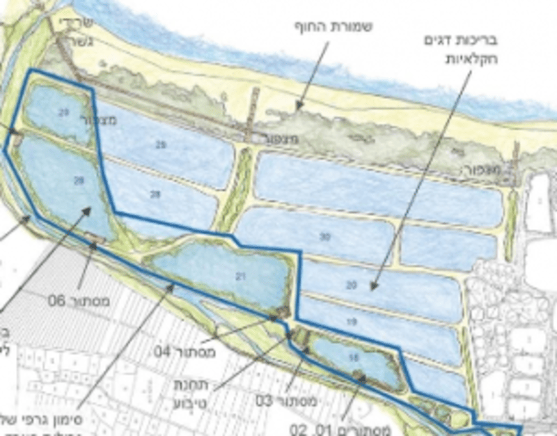 Future-section-fourth-image Future-section-fourth-image