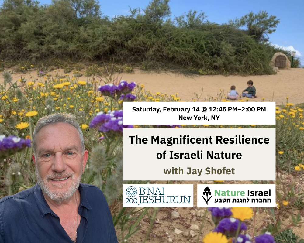 Learn how a tiny global biodiversity hotspot rebounding after war and wildfires.