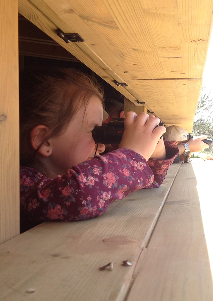 Nili & David Jerusalem Bird Observatory