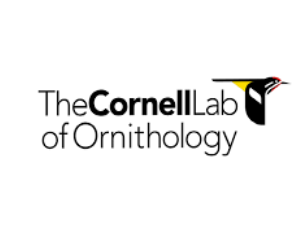 cornelllogo@2x cornelllogo