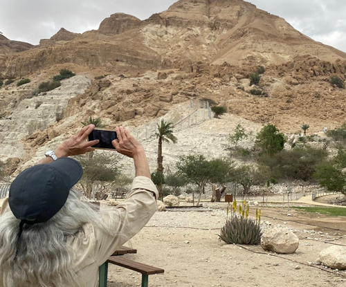 naturetours naturetours