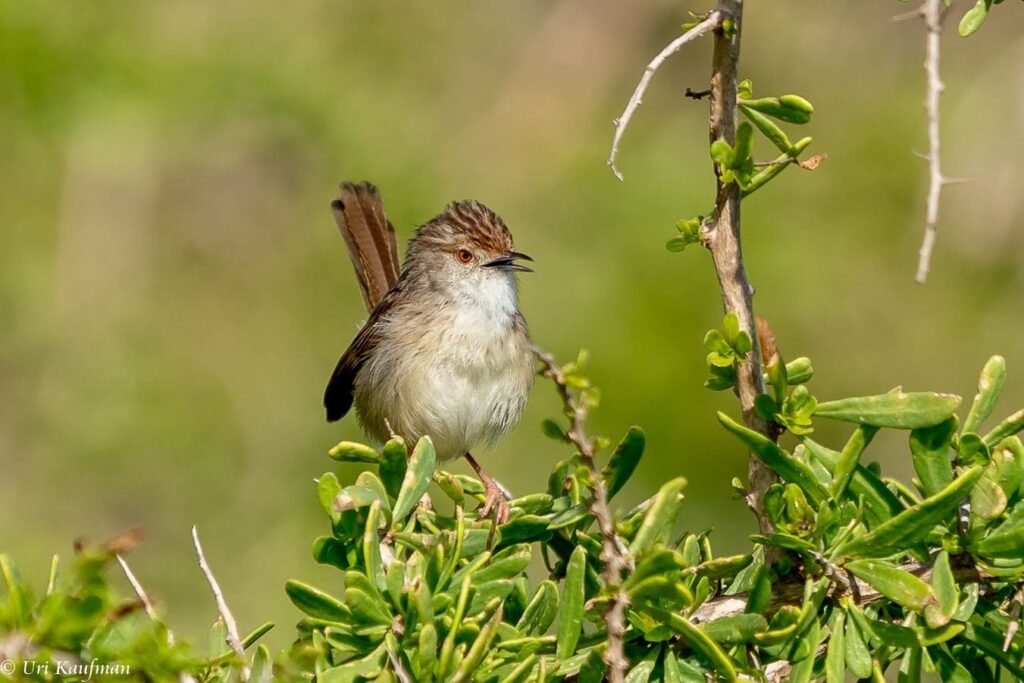 Join us for a behind-the-scenes tour of Israel’s Natural History Collections at Hebrew University.