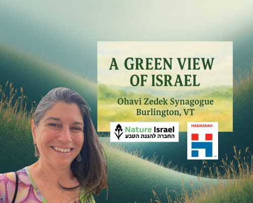 If you're in or near Burlington, Vermont, we look forward to seeing you on June 8!