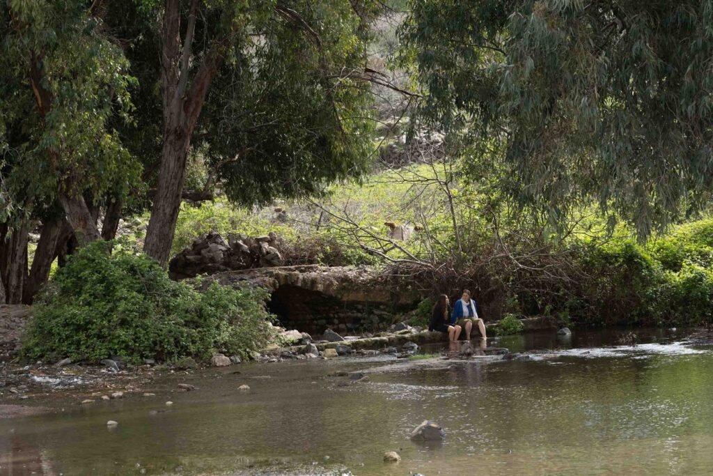 Hear from Jay Shofet on how SPNI is restoring Israel’s people and wild places.