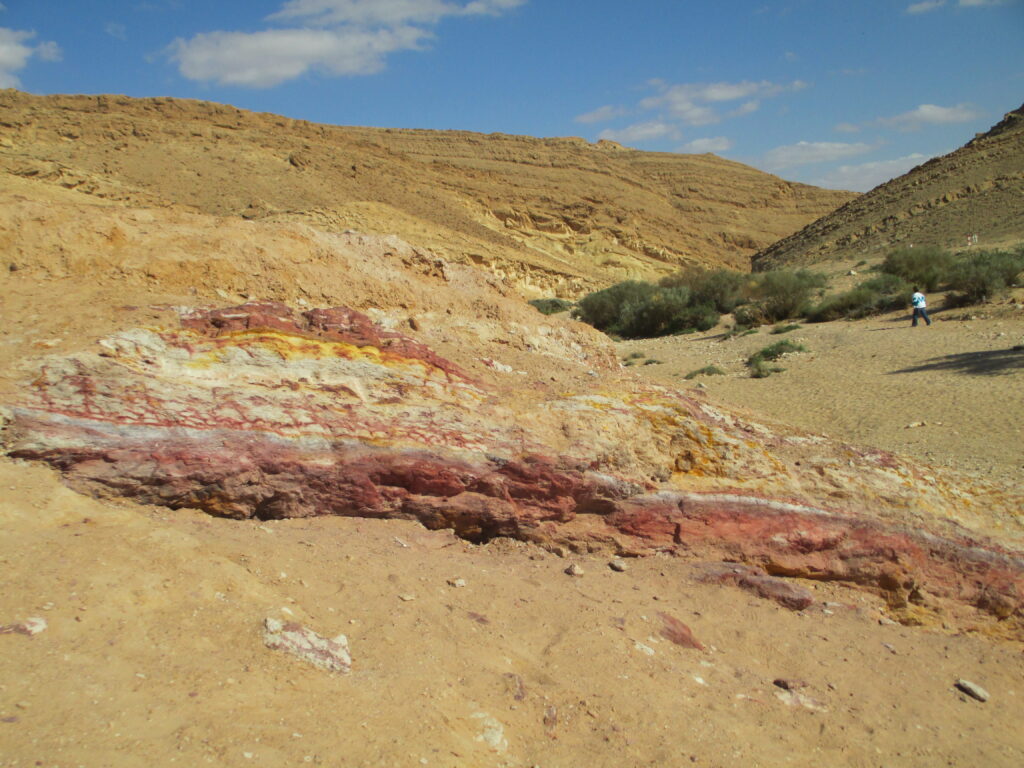 Admire the breathtaking colors, canyons, and wildlife of Israel’s Negev