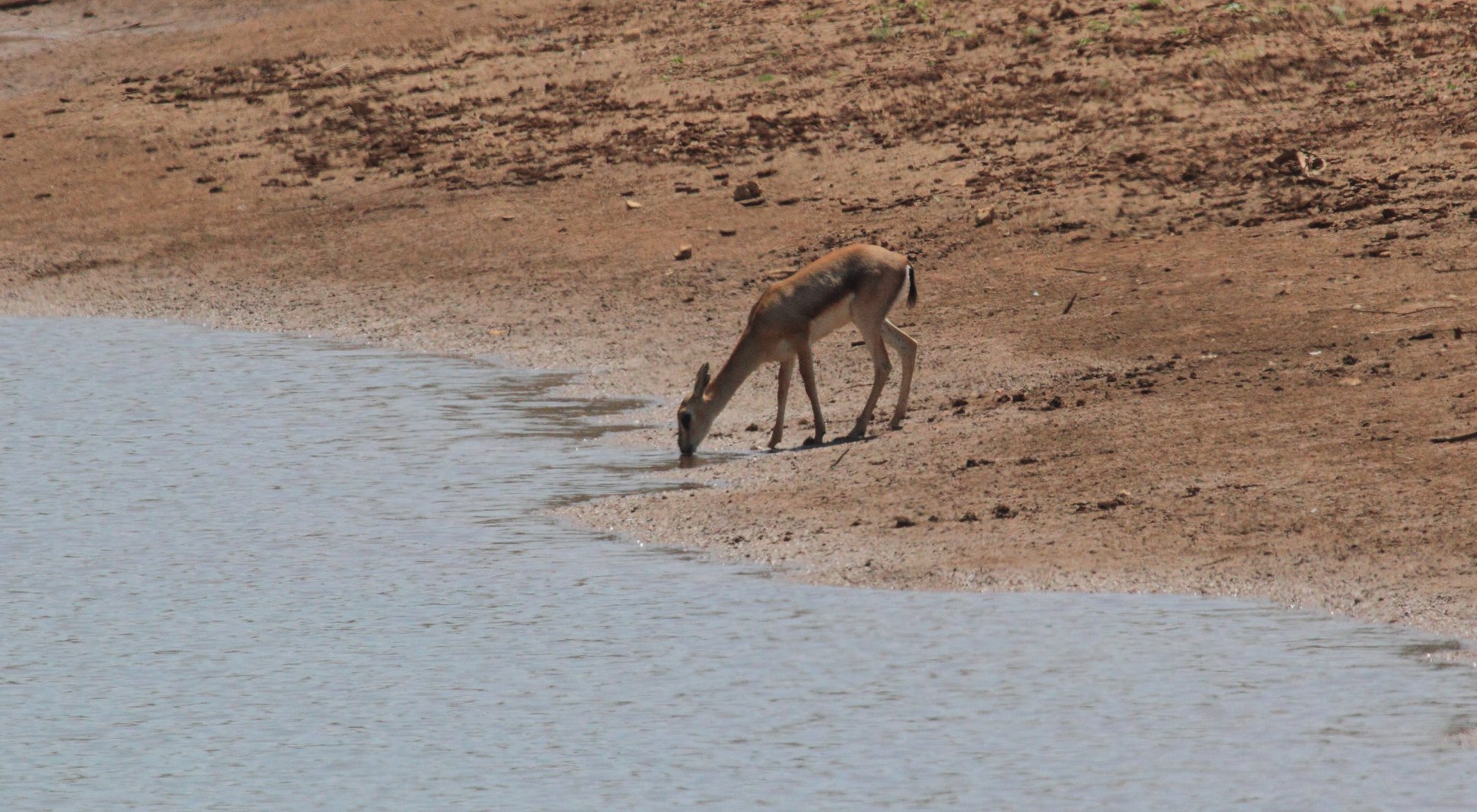 36064191_2543473532336852_4712227534924677120_n