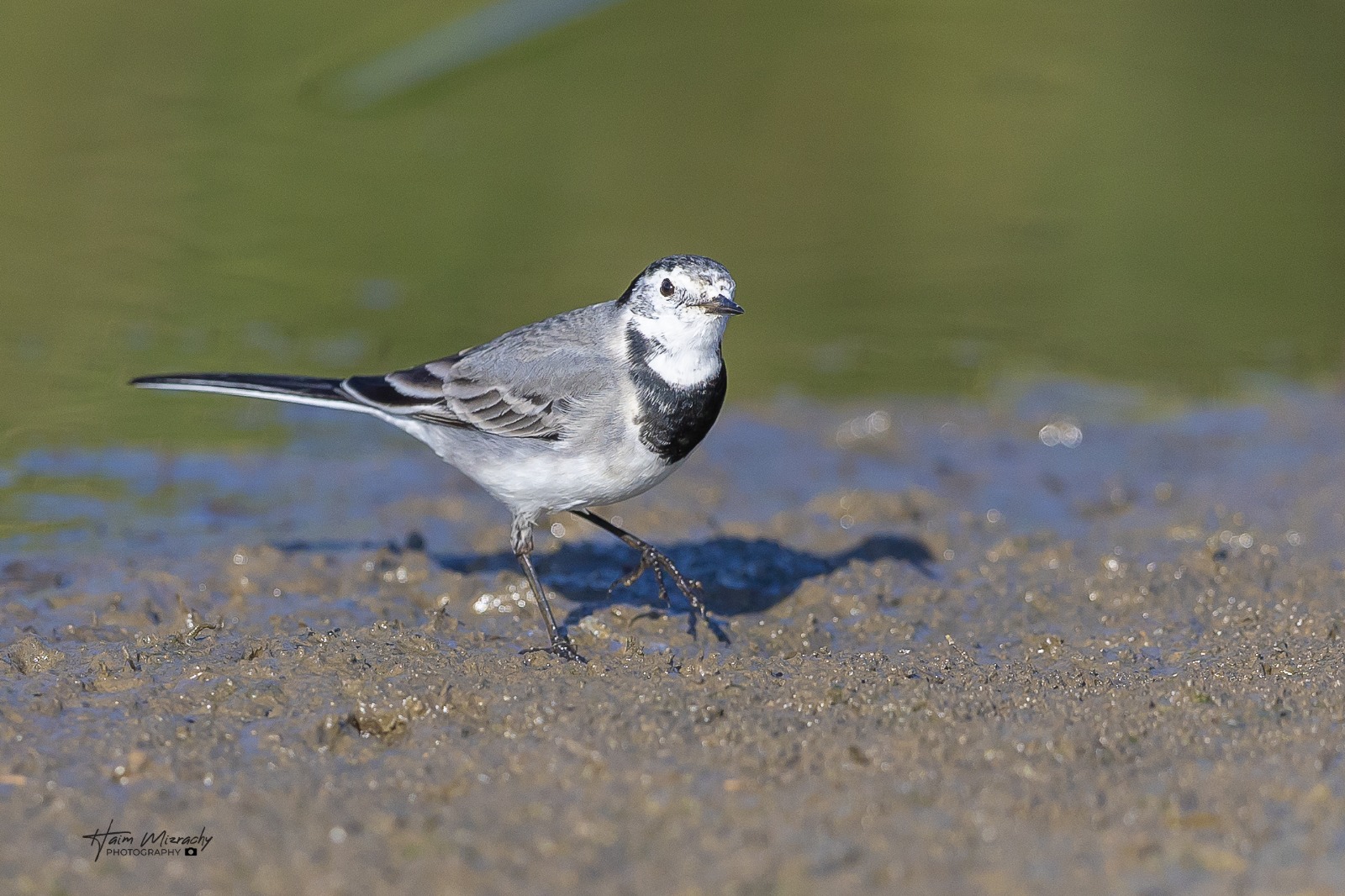 478589233_936951335213528_6402392447683936991_n