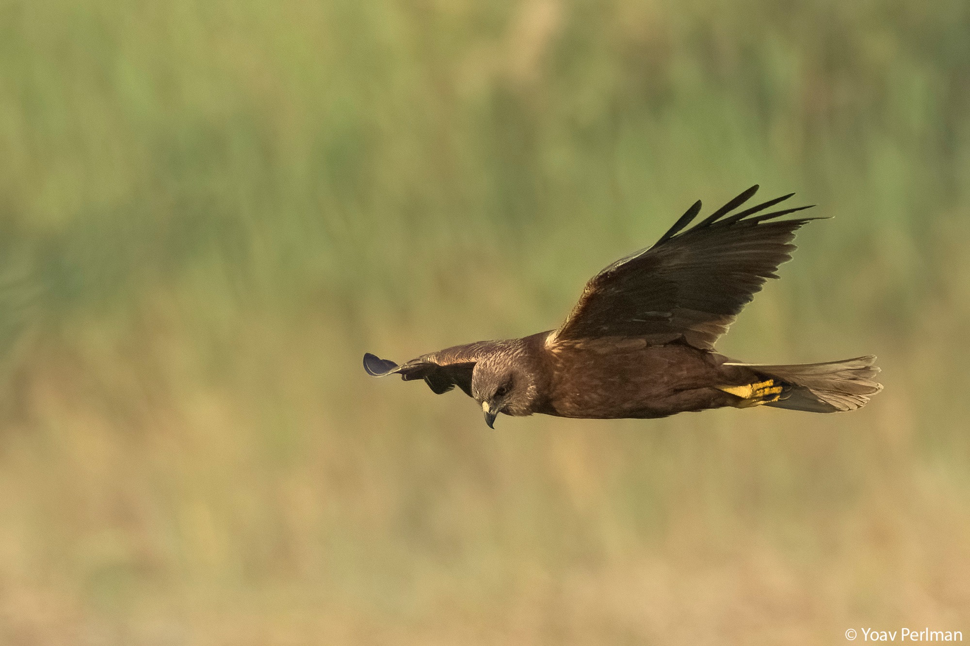 492040426_29107421375572654_4972543724419910860_n