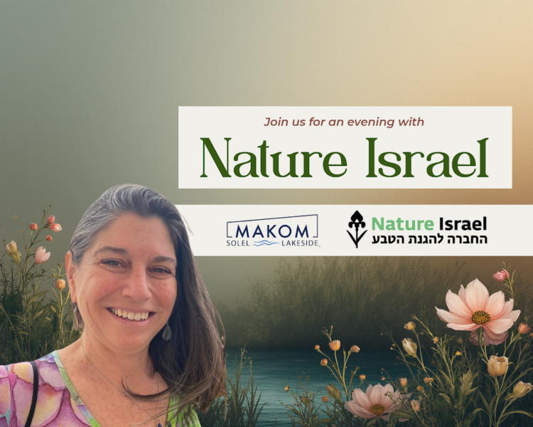 Join us in person (Highland Park, IL) or online!