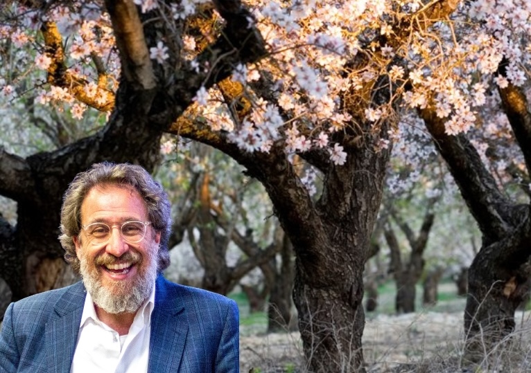 Explore the meaning of Tu B’Shvat today through climate, tradition, and thoughtful conversation.