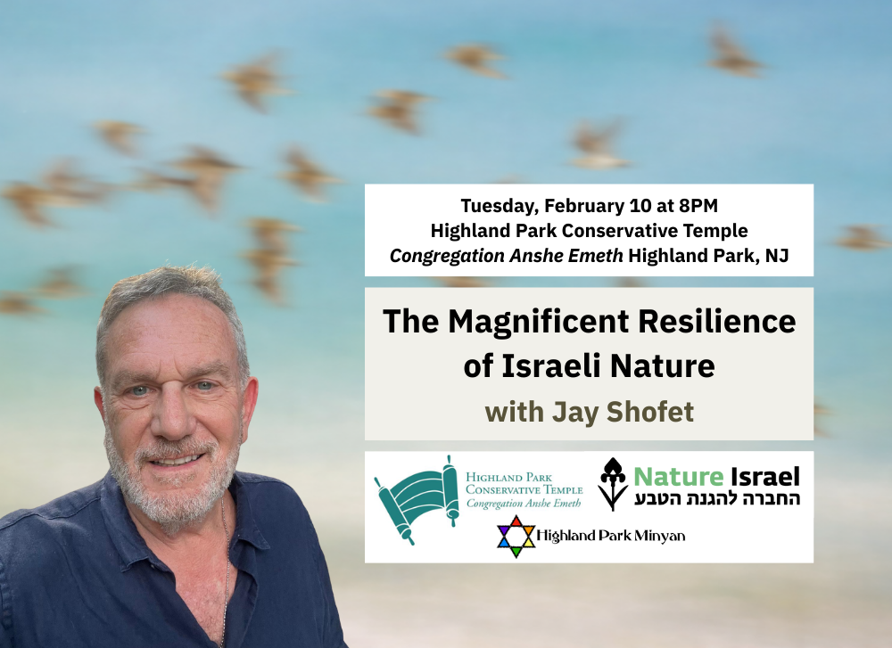 Learn how a tiny global biodiversity hotspot rebounding after war and wildfires.