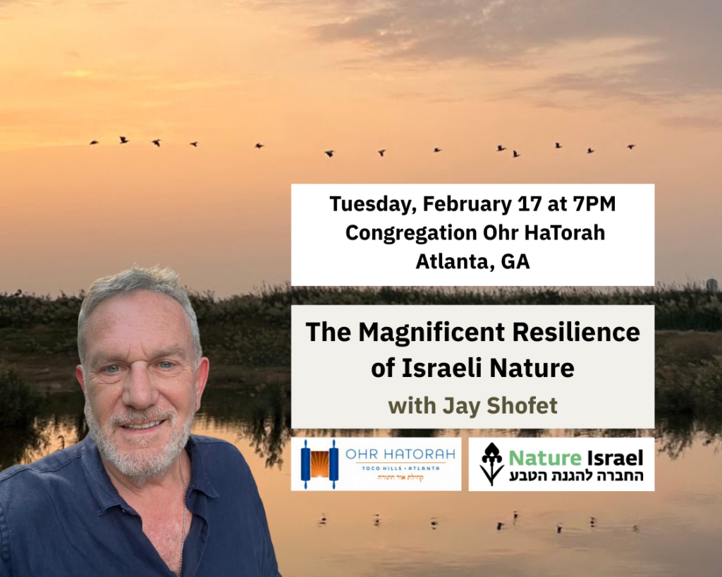 Learn how a tiny global biodiversity hotspot rebounding after war and wildfires.