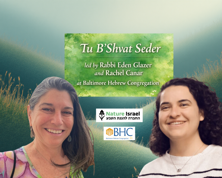 Join Rabbi Glaser and Rachel Canar to observe Tu B’Shvat, a celebration of trees and our environment.