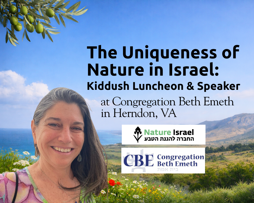 Learn why Israel is so uniquely important ecologically and how it is rebounding after the war and fires