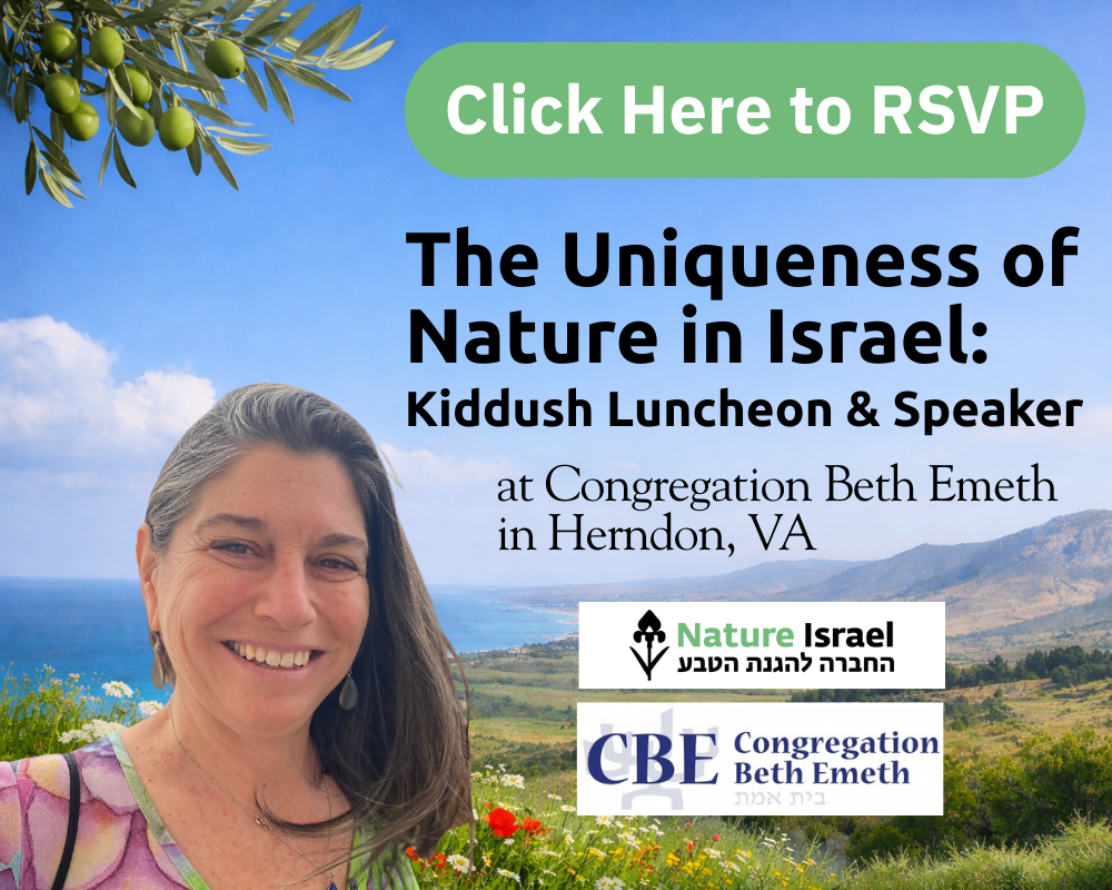 NI Speaking Engagements Web copy