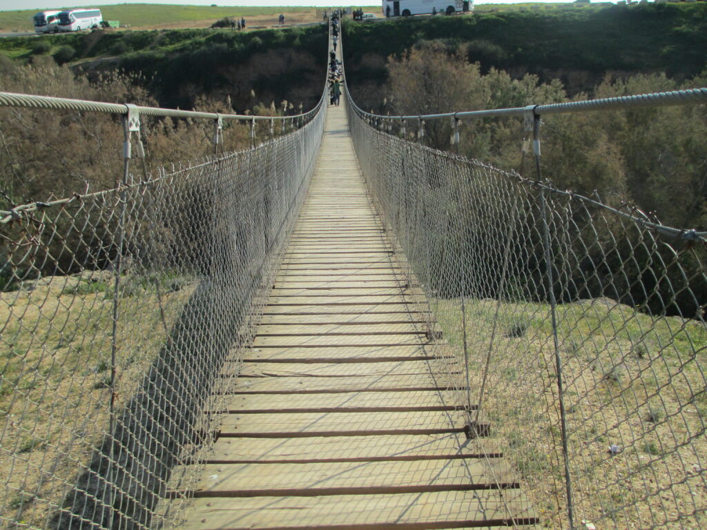 Journey back to the landscapes, stories, and resilience of the Western Negev