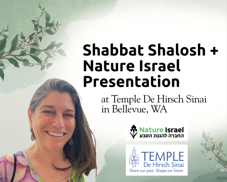 Learn how a tiny global biodiversity hotspot rebounding after war and wildfires.