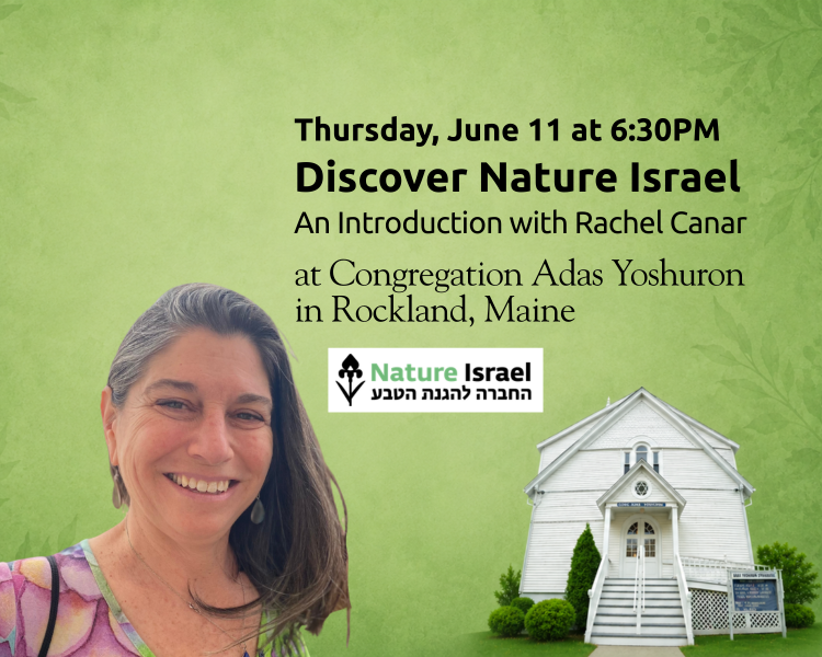 Discover Nature Israel with Executive Director Rachel Canar.